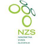 华盛顿奇才
